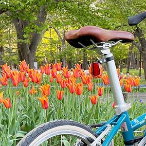 Spring Riding with DAHON Bicycles