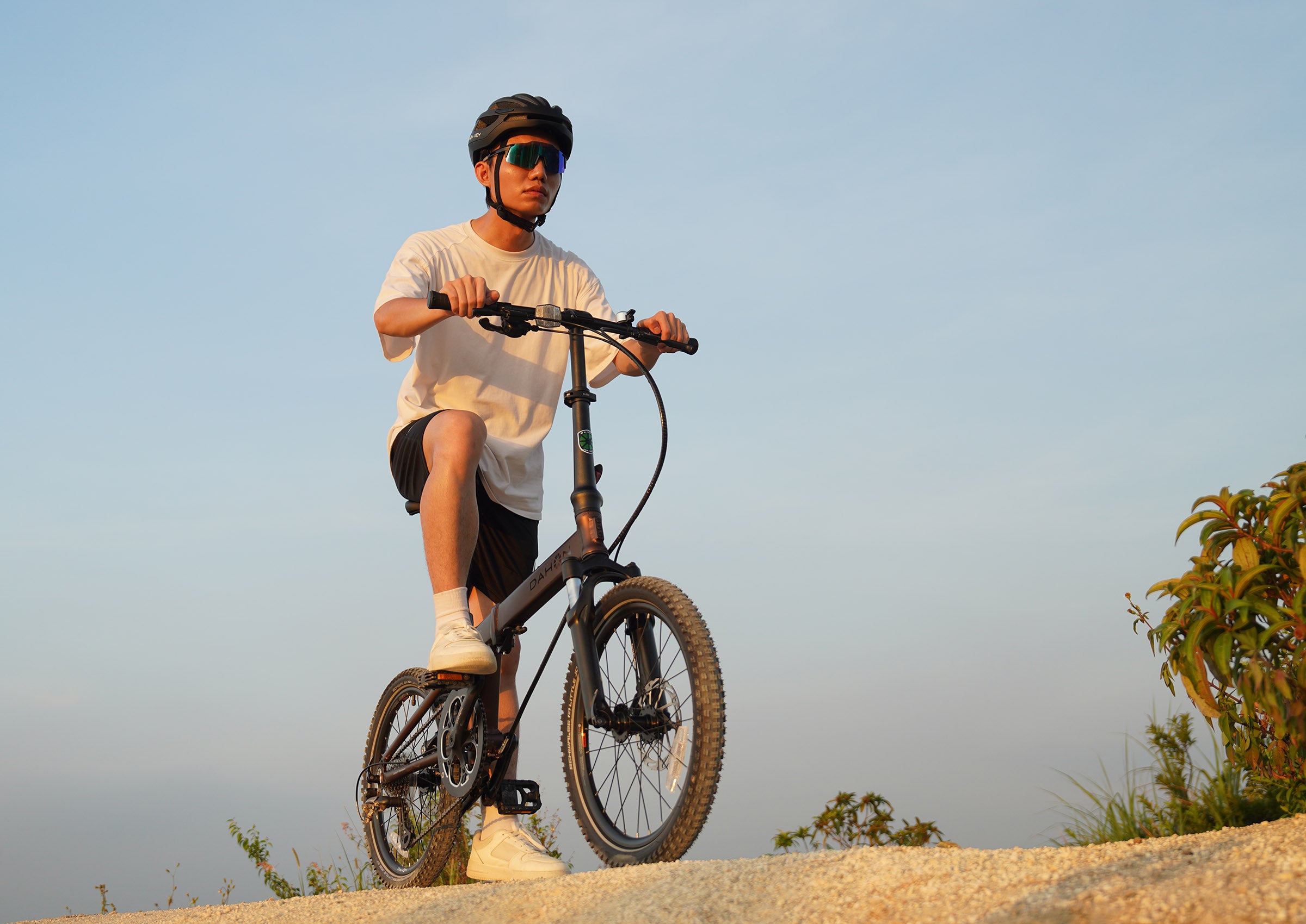 Dahon AU